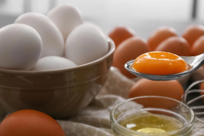 Perbedaan Telur Omega dan Biasa, Kenali Kandungan Gizinya!