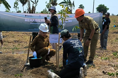 Rehabilitasi DAS Bodri Dimulai, 261 Ribu Pohon Disiapkan untuk Hutan di Kendal